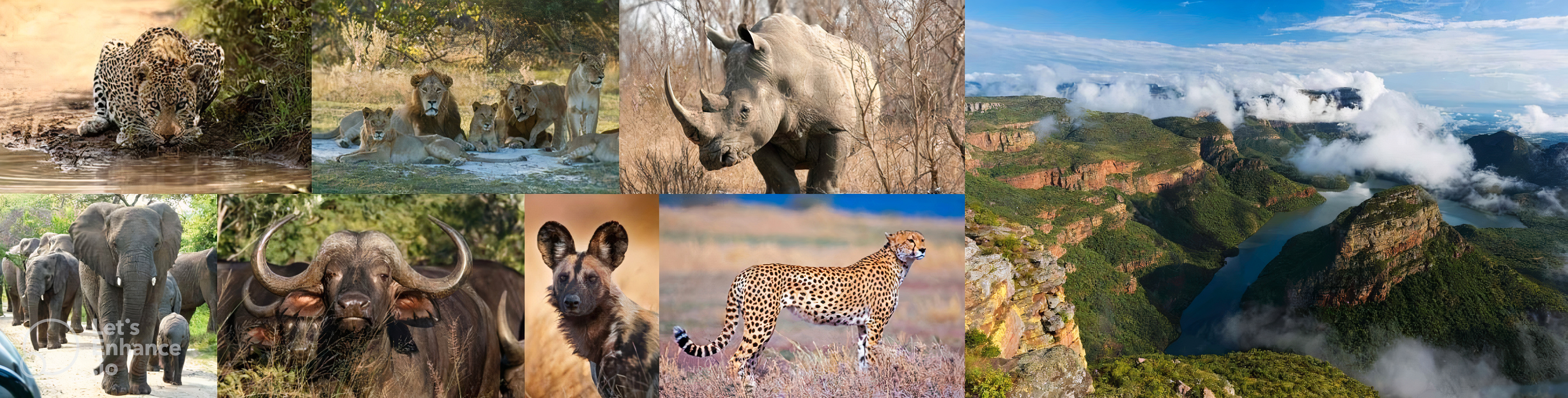 Kruger National Park